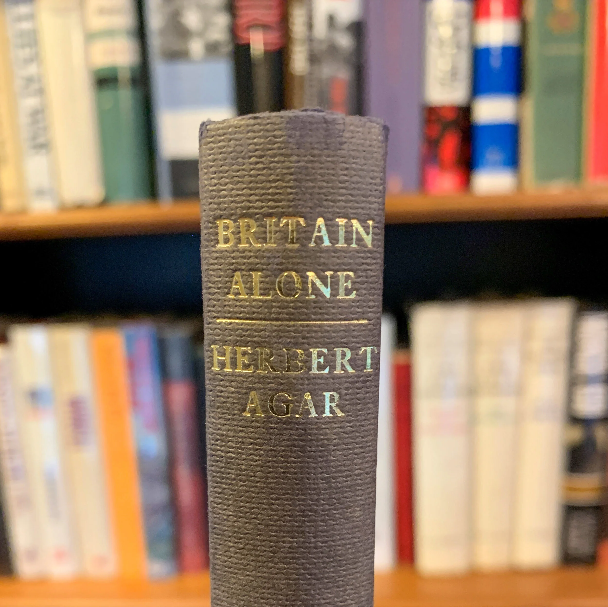 Much More Than a Linear Collection of Facts