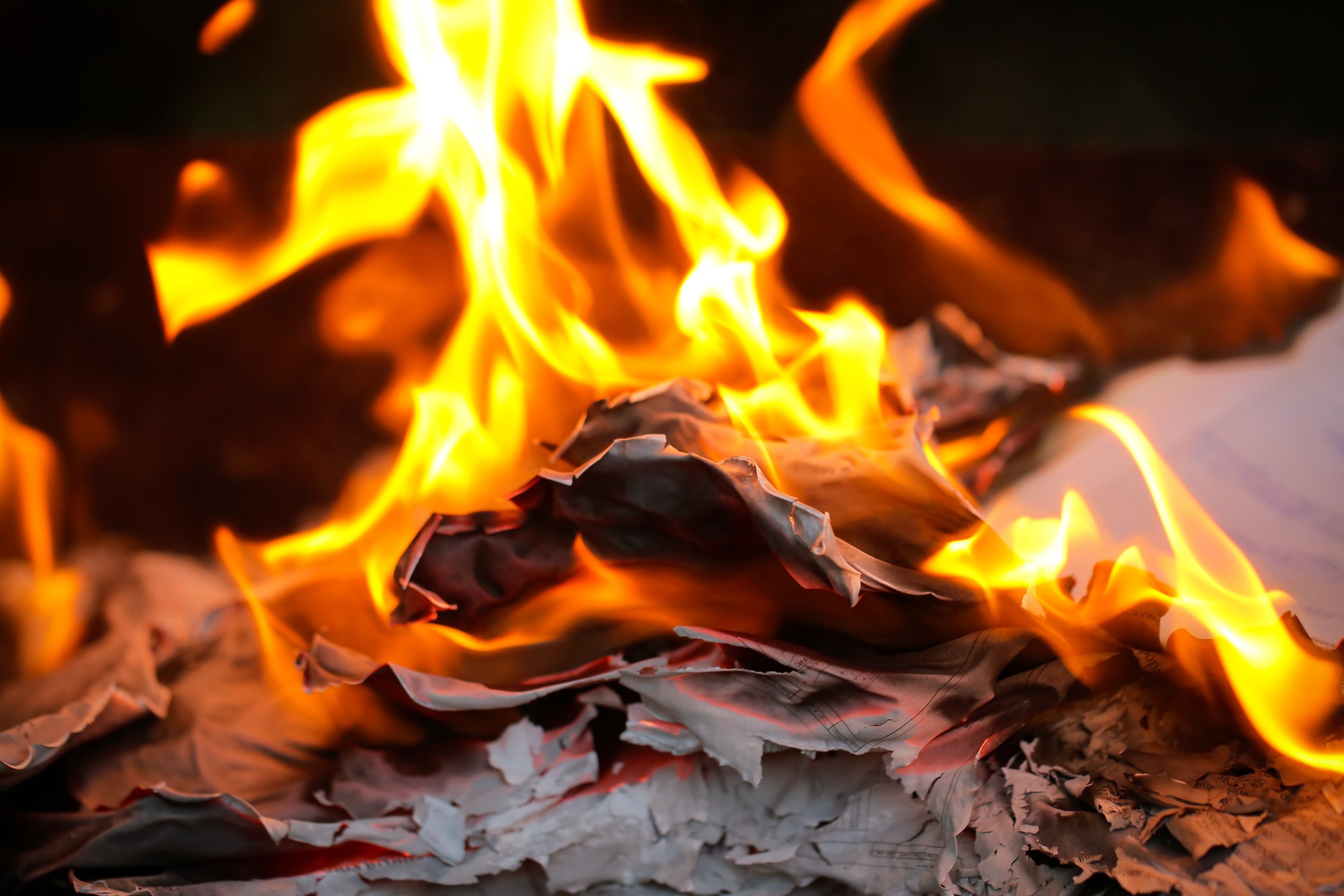 Winston Churchill - This Magnificent Lawn