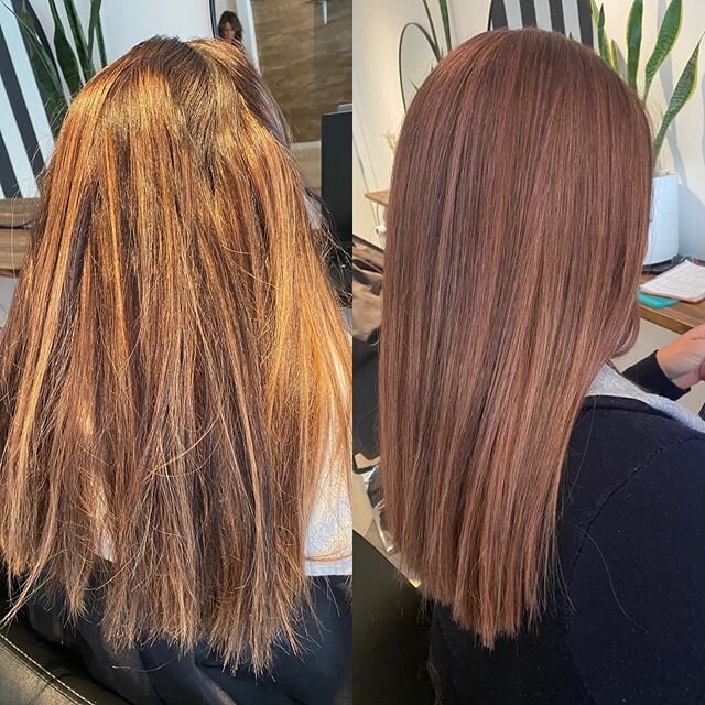 Rosewood 🍁 full head of foils with #olaplex and custom rosewood toner @delorenzohaircare 🌿