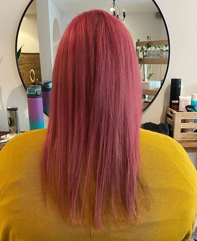 Beautiful bright rose today ✨