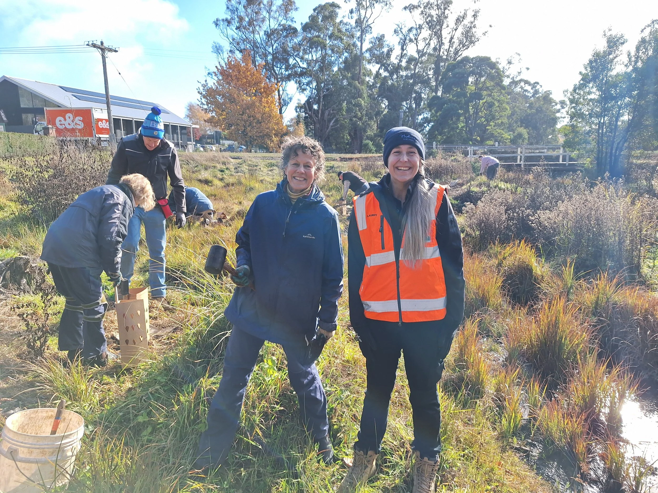 Planting day - Bright-Eyed Brown Butterfly Restoration Project