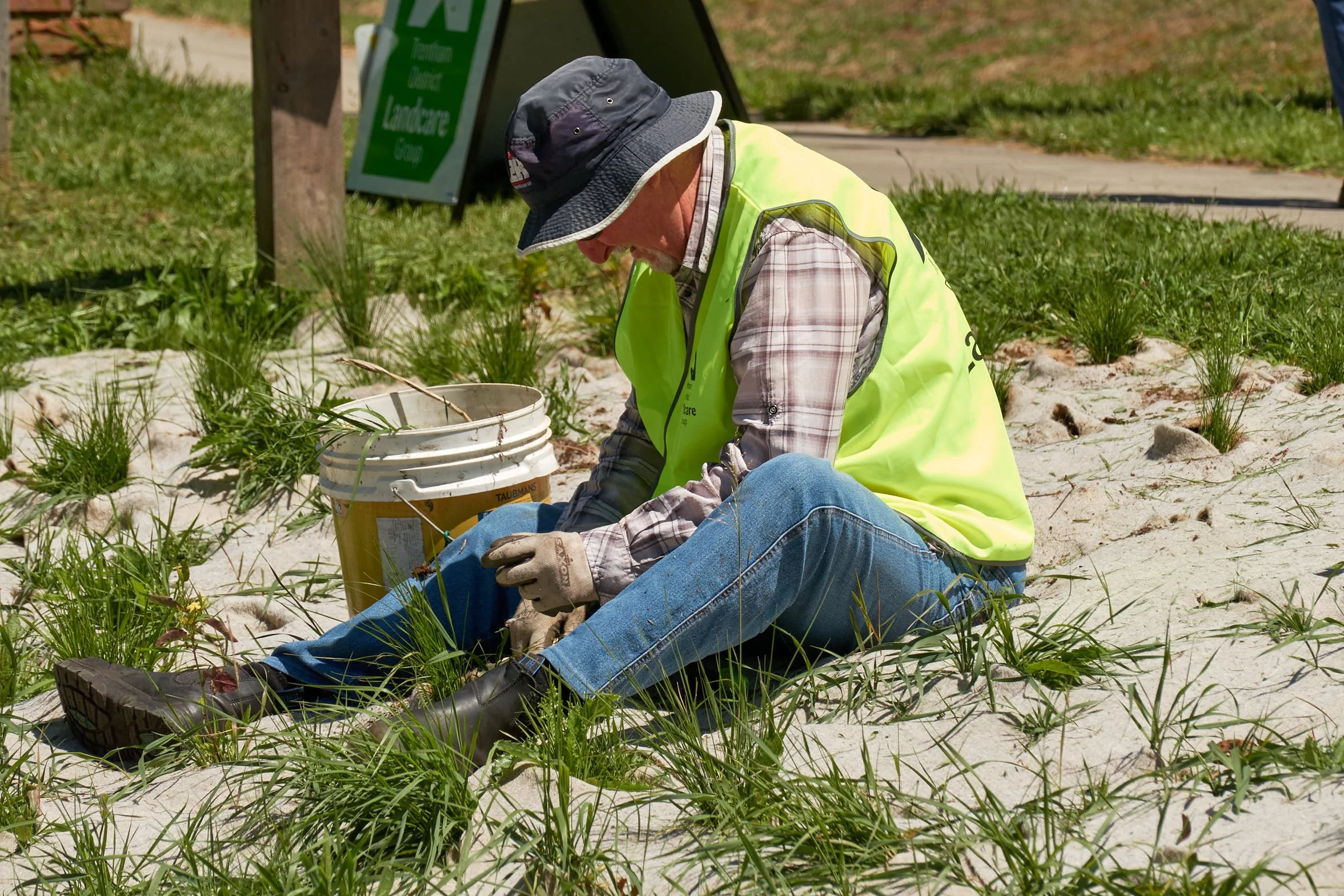 Bright Eyed Brown Butterfly Restoration Project - Working Bee