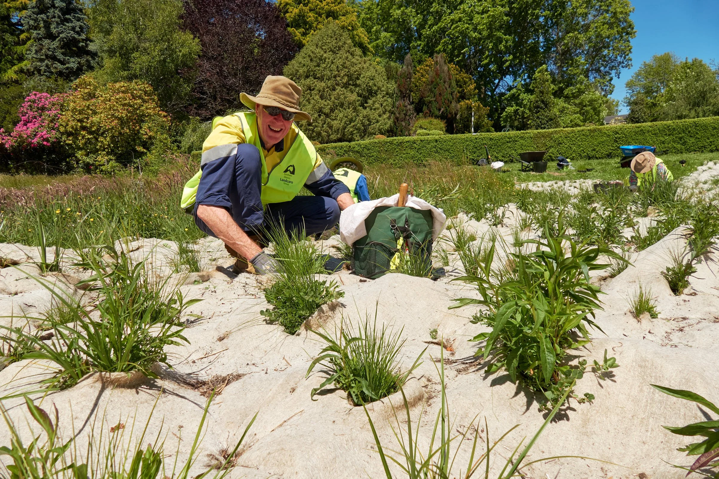Bright Eyed Brown Butterfly Restoration Project - Working Bee