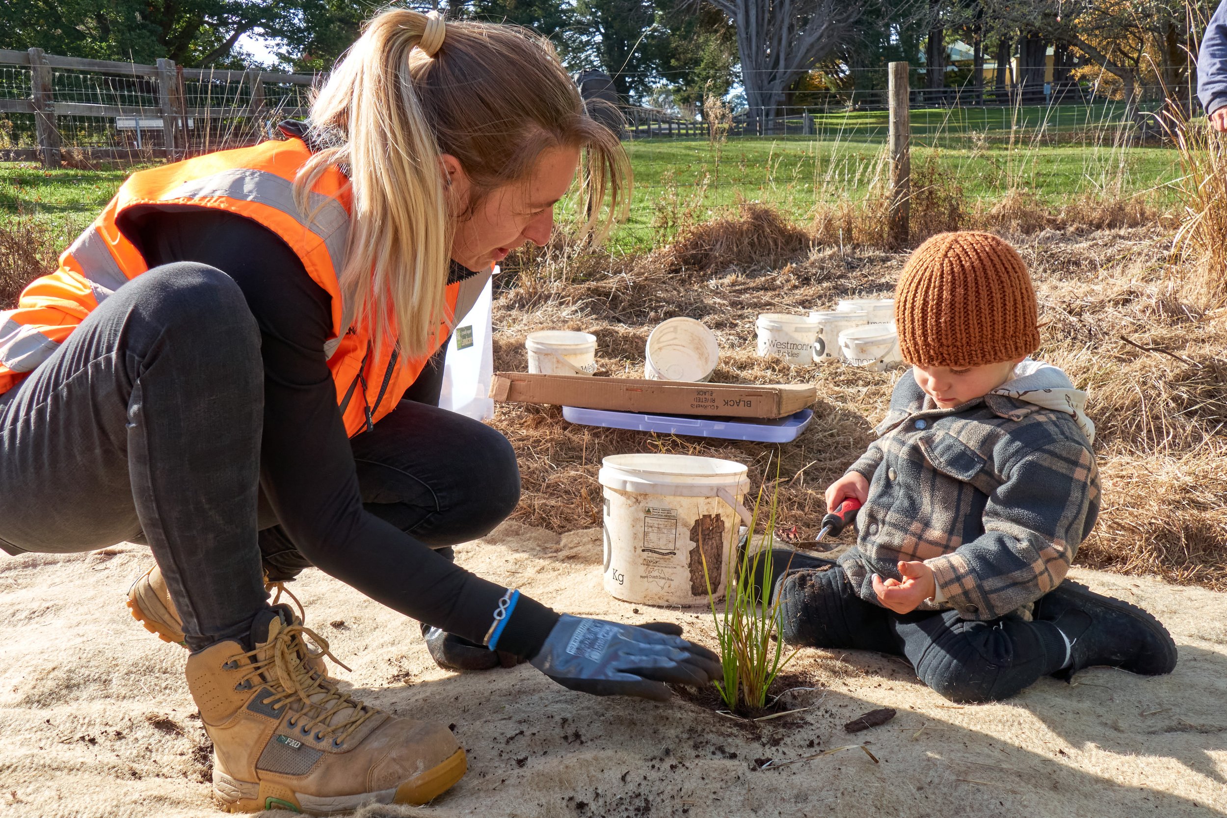 Bright Eyed Brown Butterfly Restoration Project - Celebrating our Achievements