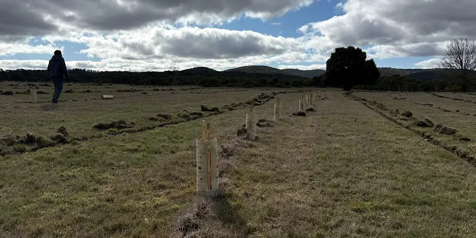 Revegetating your Central Victorian Property(Farm)