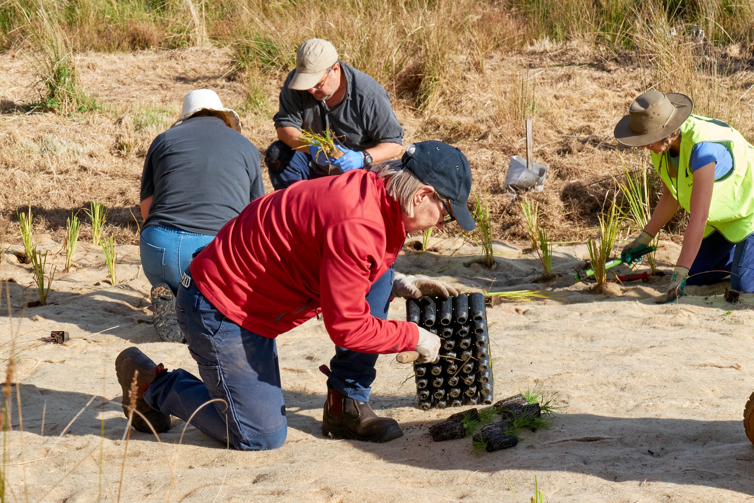 Chinese Spring - BEBB Habitat Restoration and Regeneration
