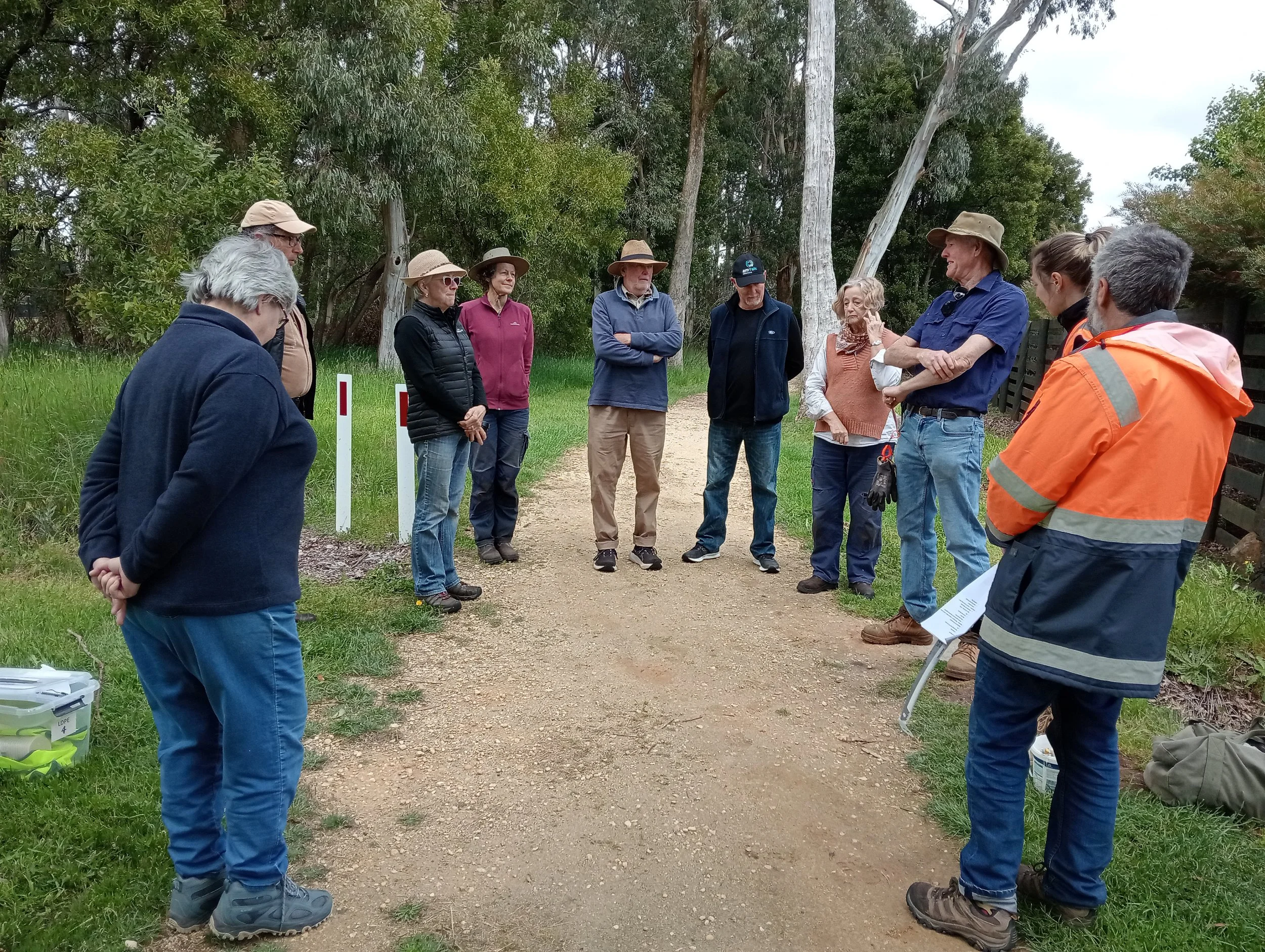 Snow Gum Restoration and Revegetation Project