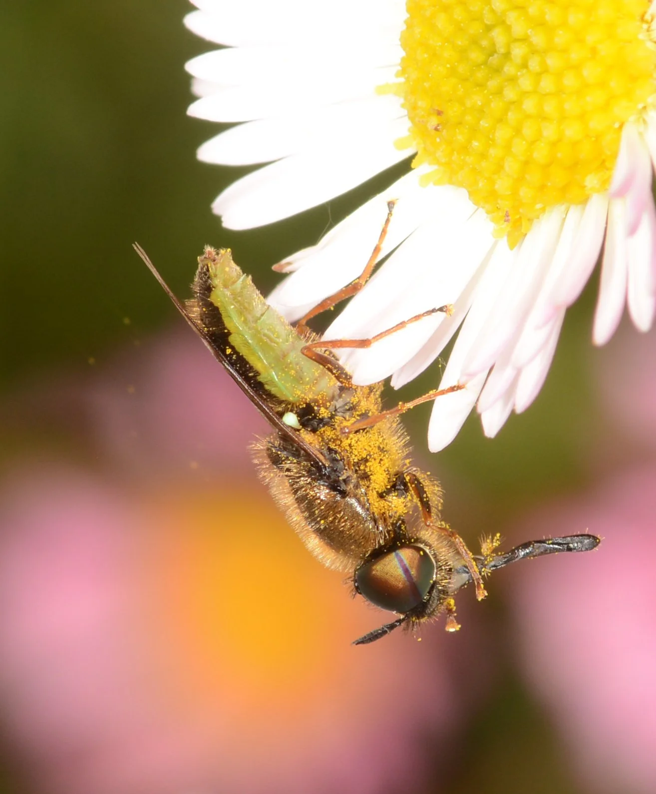 AGM and Landscaping for Wildlife and Bushfire