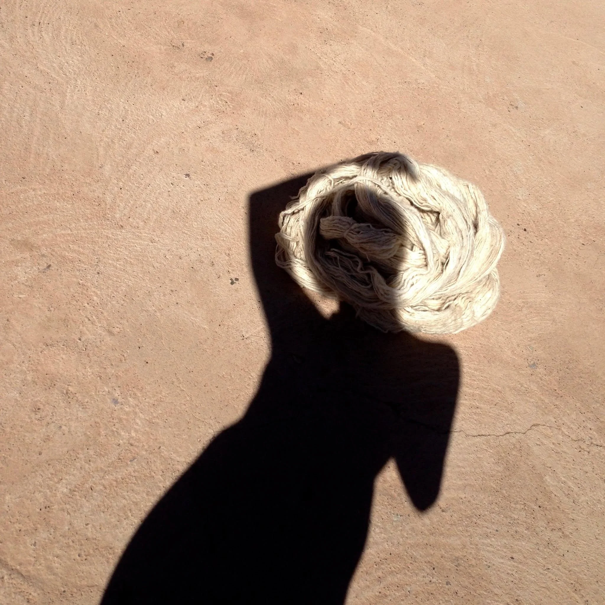 511536115_3532953883501688_2571588252786637108_n.jpeg