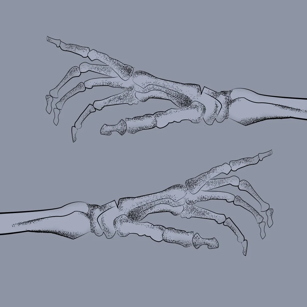 Skeleton-hand.jpg