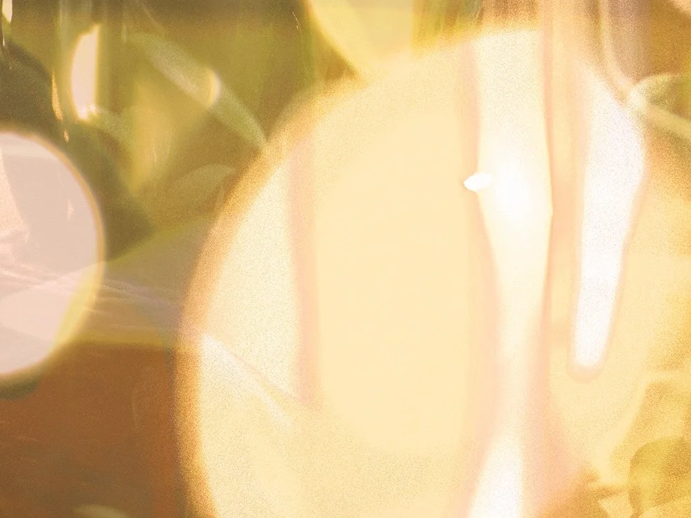 Rachael Yamagata <br/> CD Design