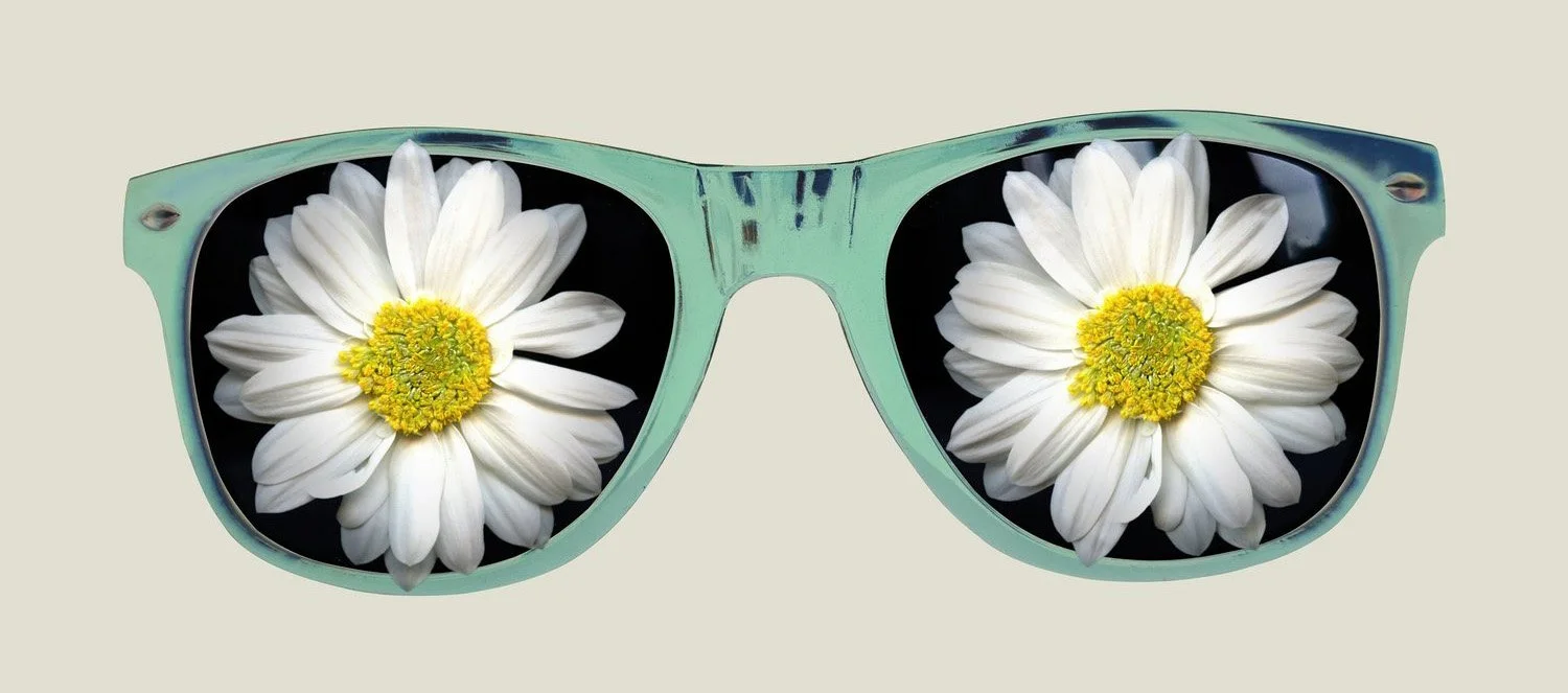 Daisy+Sunglasses.jpg