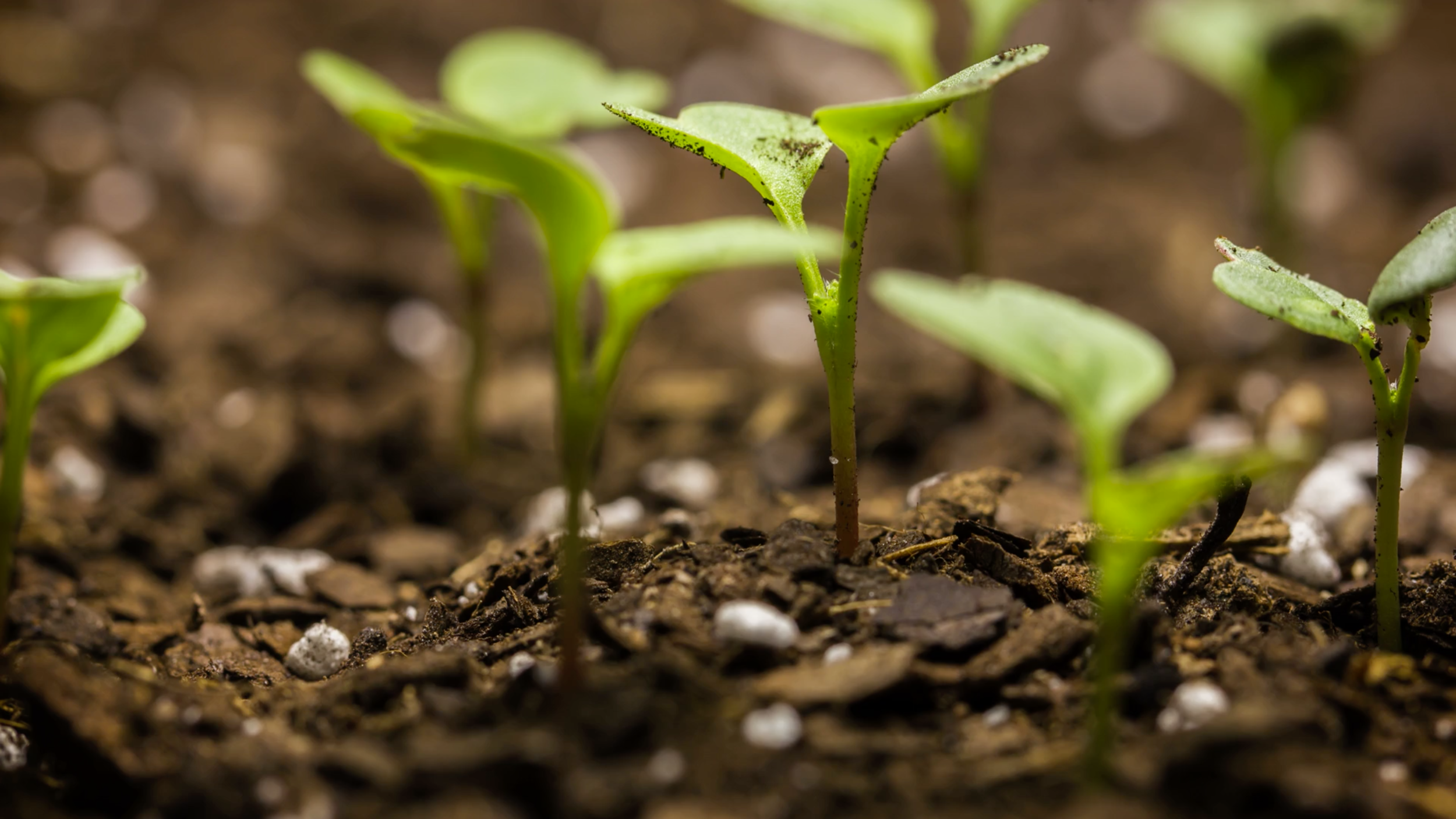 Transformation from the Group up.png