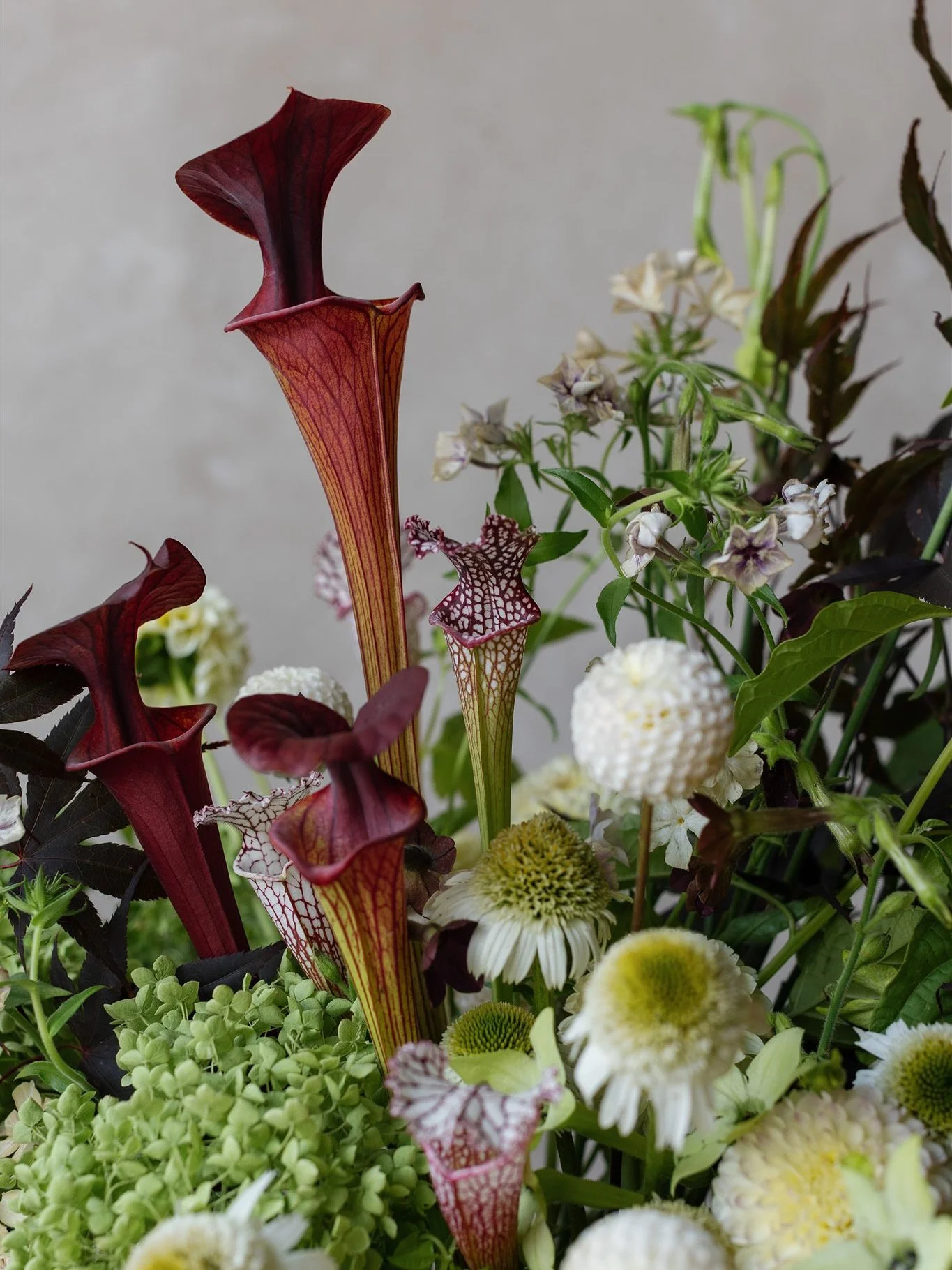 Just a few of the gorgeous arrangements that were created at Midsummer Bloom, a floral workshop taught by the wildly talented @flowers_by_karis and hosted by my favorite @hyssop.floral 

Alternate caption: a day when it was my actual job to photograp