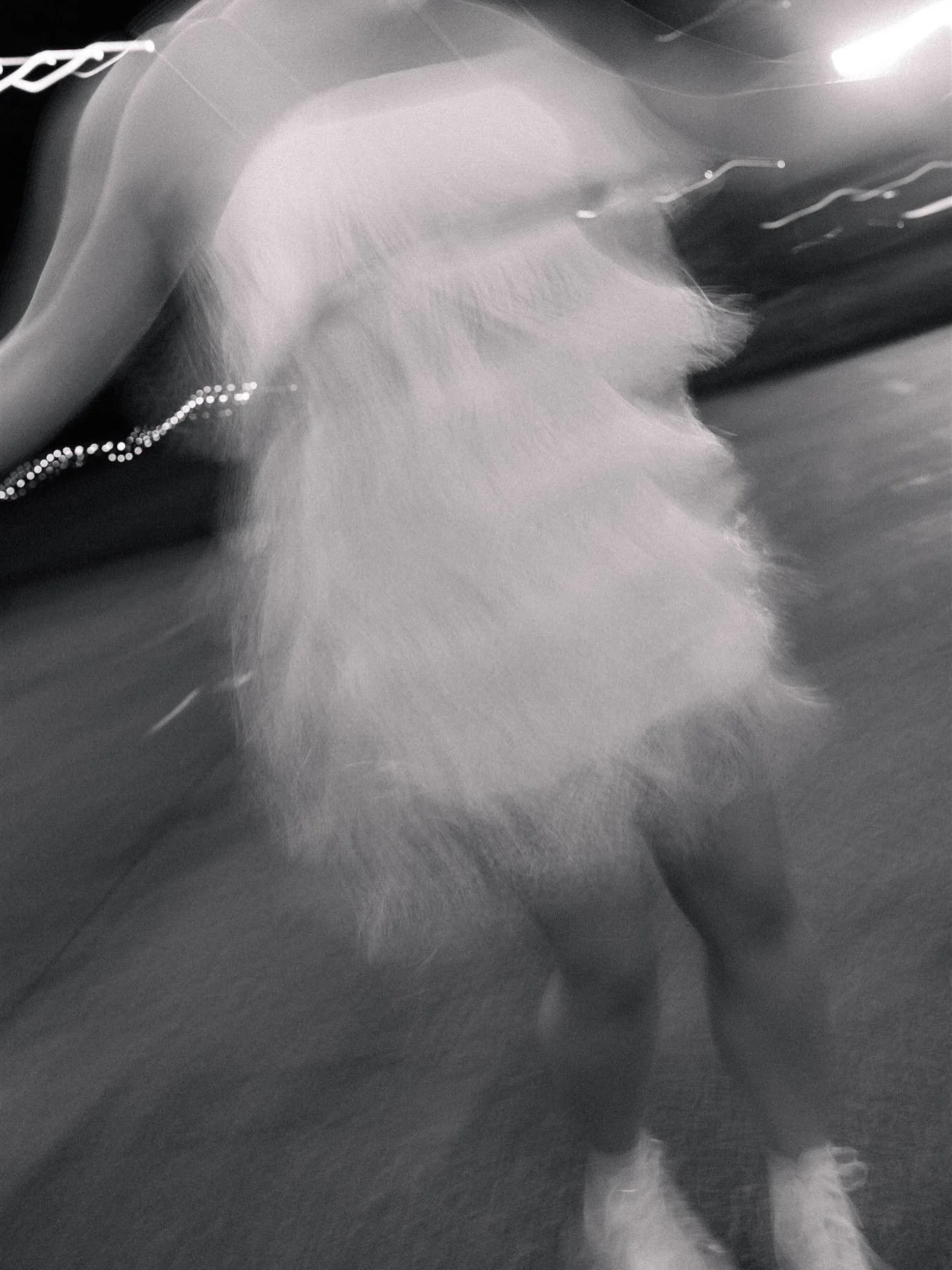 A few images from when S + W got married on Lake Michigan this past September.

Venue: Castle Park
Planning: @connollyhouseevents assisted by @halcyonweddings 
Floral: @windflowerdesignco 
Rentals: @eventtheorymi 
Catering: @experiencepartage 
Hair: 