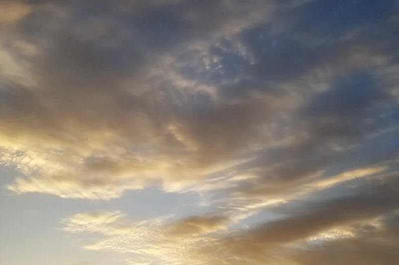 It feels icky to forget things