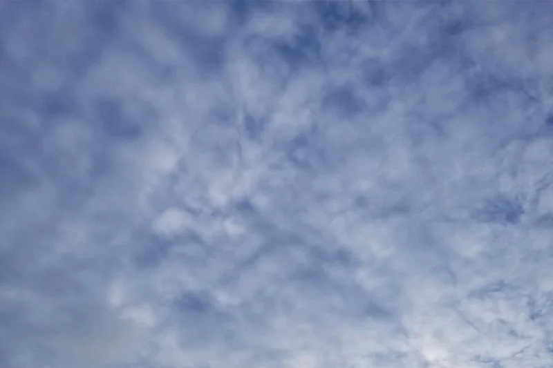 The ups and downs of writing a book