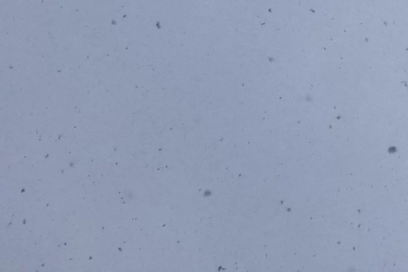 Finding my way through the winter blues