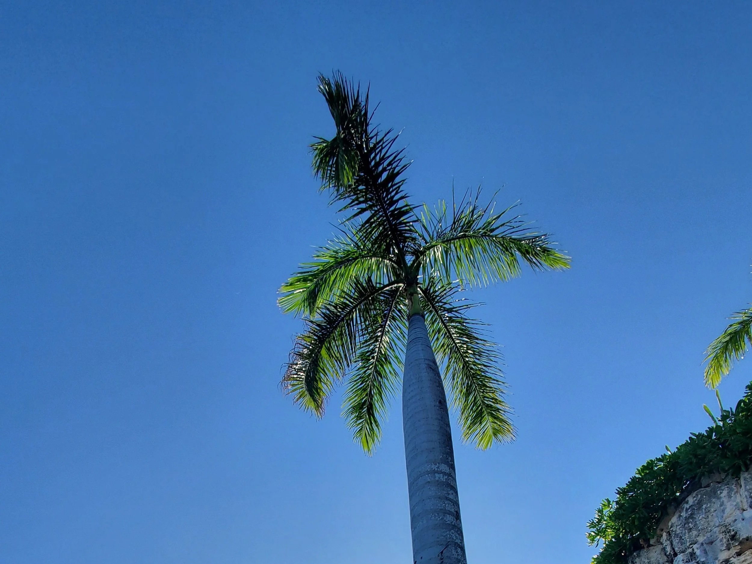 A "splurge" vacation