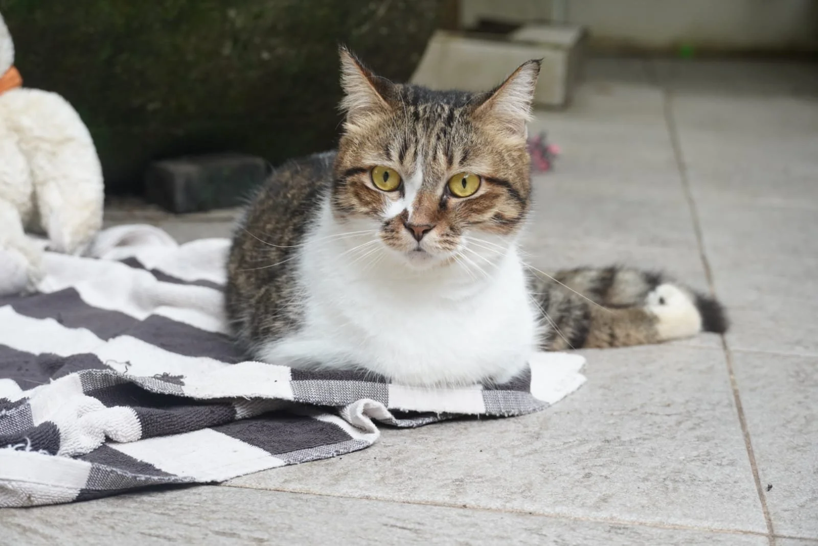 2025 shook us to our core…