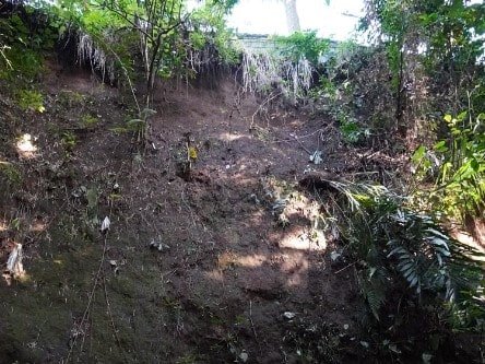 Landslide 3-min.jpeg