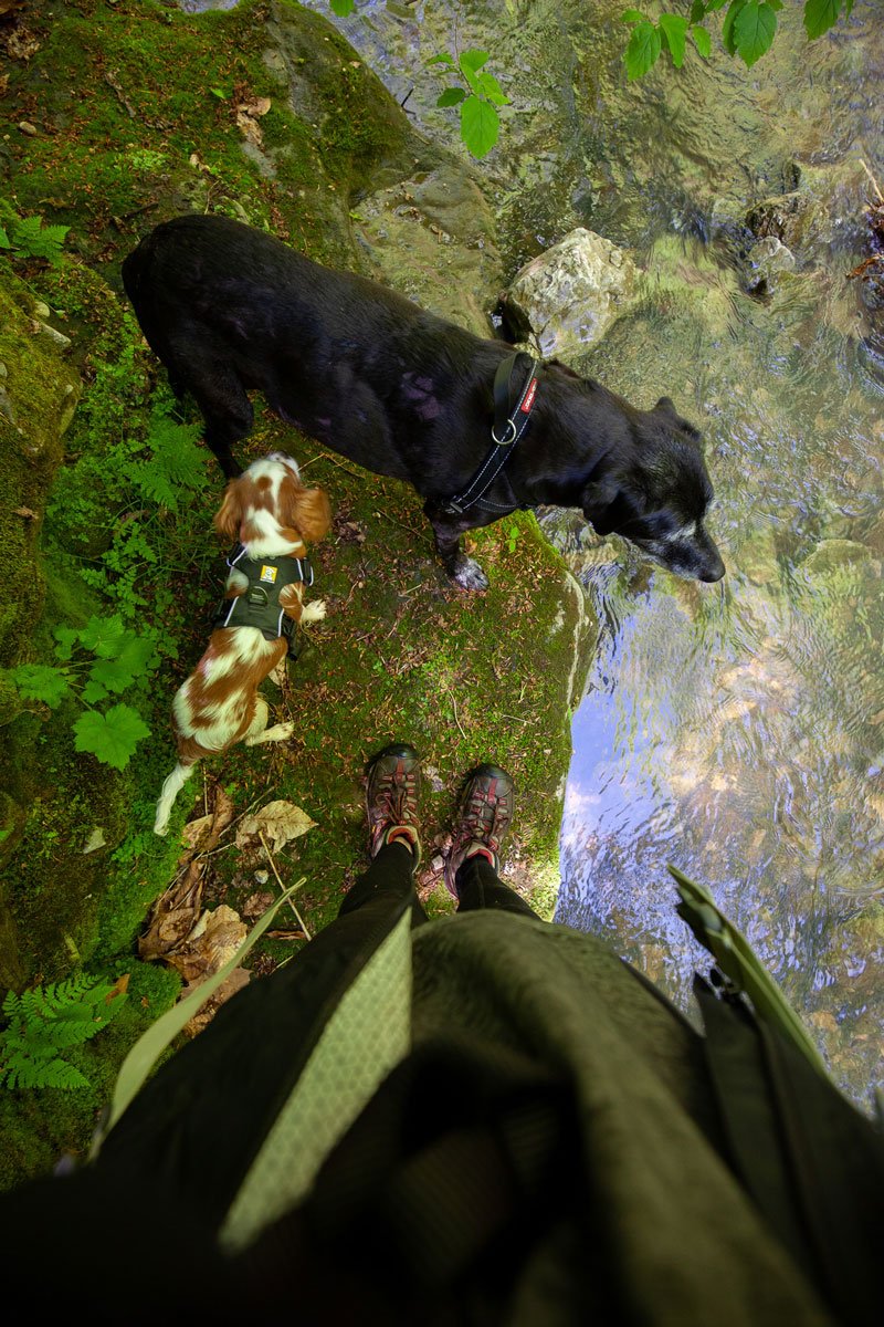 L-Creek-Spring-Feet.jpg