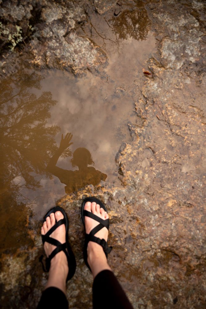 Puddle-Feet-KateBeebe.jpg