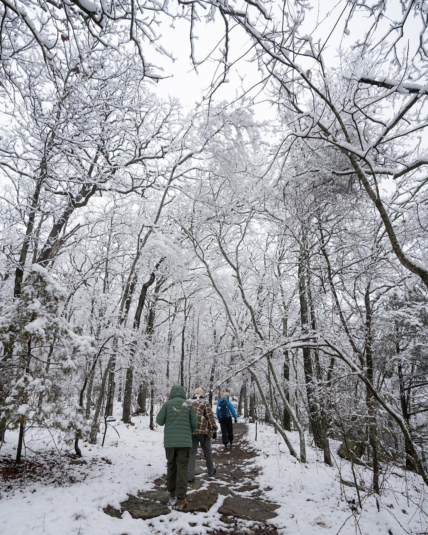 Walkin in a winter wonderland ❄️
.

#arkansas #arkansaswaterfalls #naturelovers
#arkansas_wanderlust #nationalpark #wanderfar
#explore #arkansaswaters #waterfallsfordays #wonderfularkansas #nature #photooftheday #getoutside #landscapephotography #ara