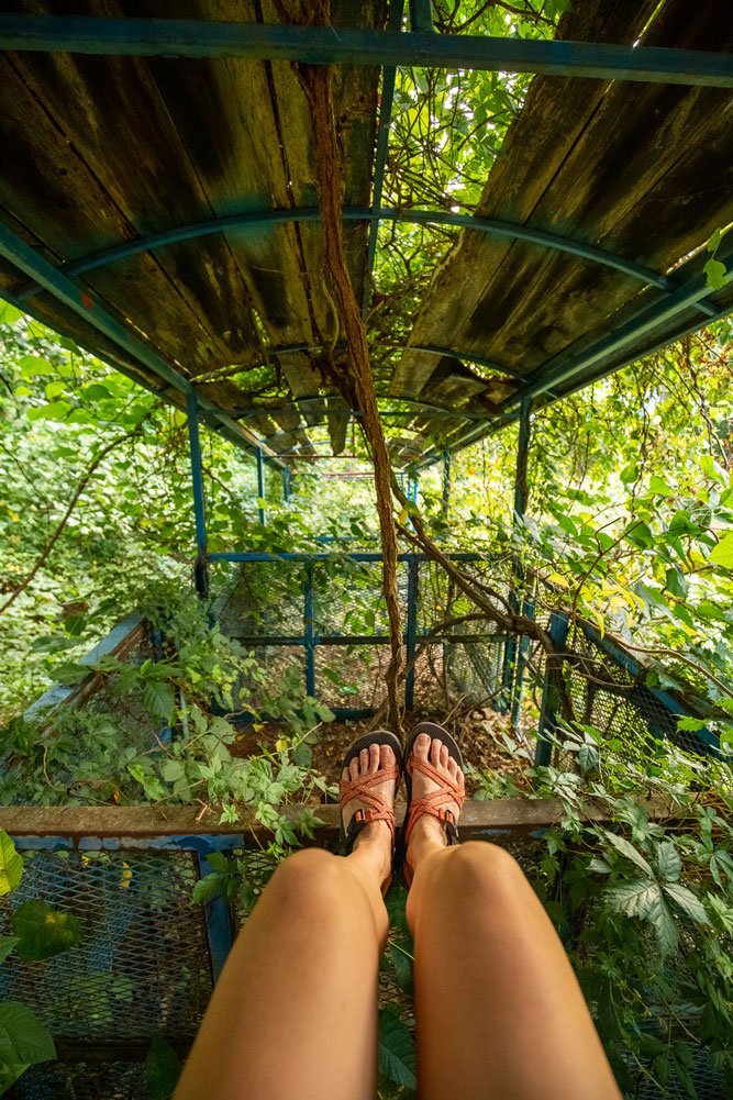 Jurasic-Park-Feet.jpg