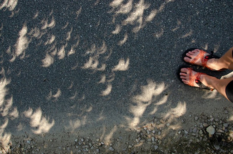 Eclipse-Feet-KateBeebe.jpg