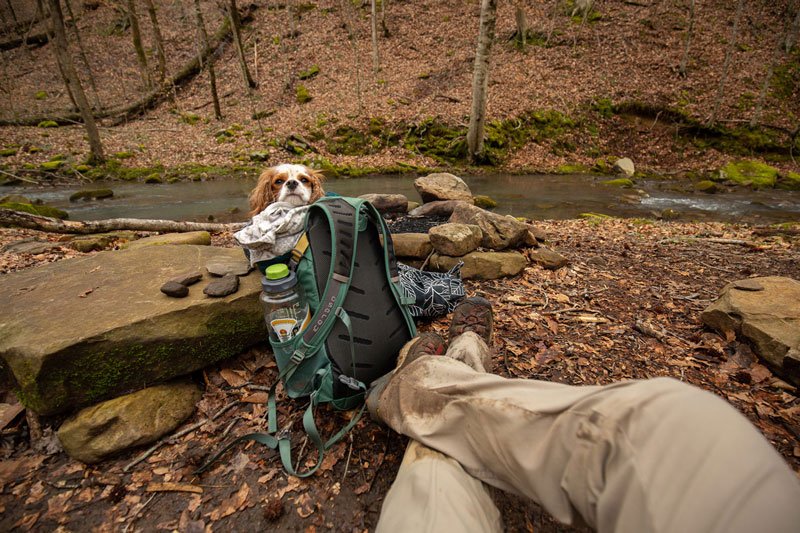 Moose-Creek-Feet.jpg