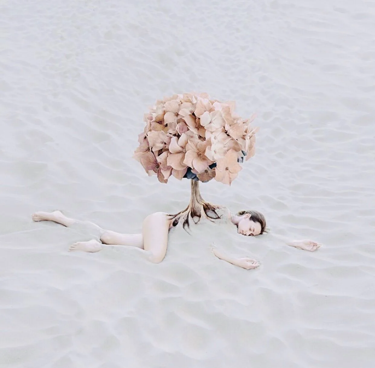 Sex&amp;The QUARANTINE •  Sesso&amp;Quarantena (Eng+ita)