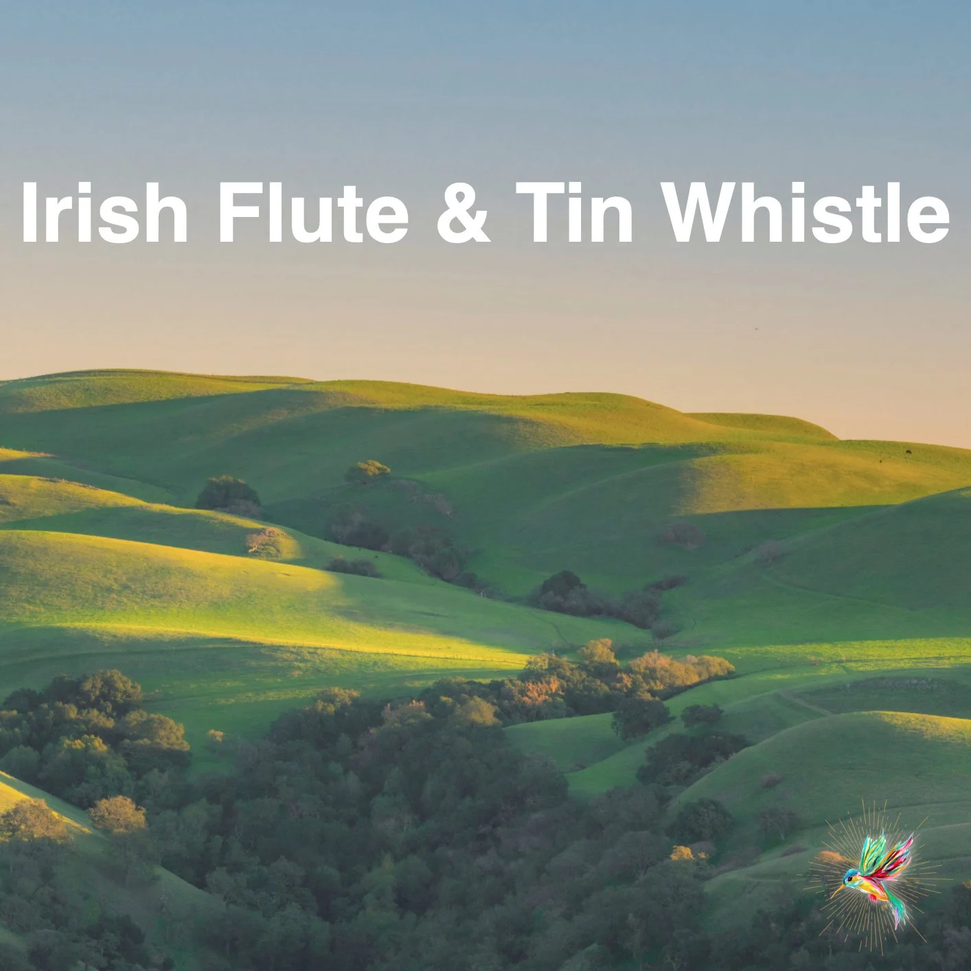 irish flute &amp; tin whistle