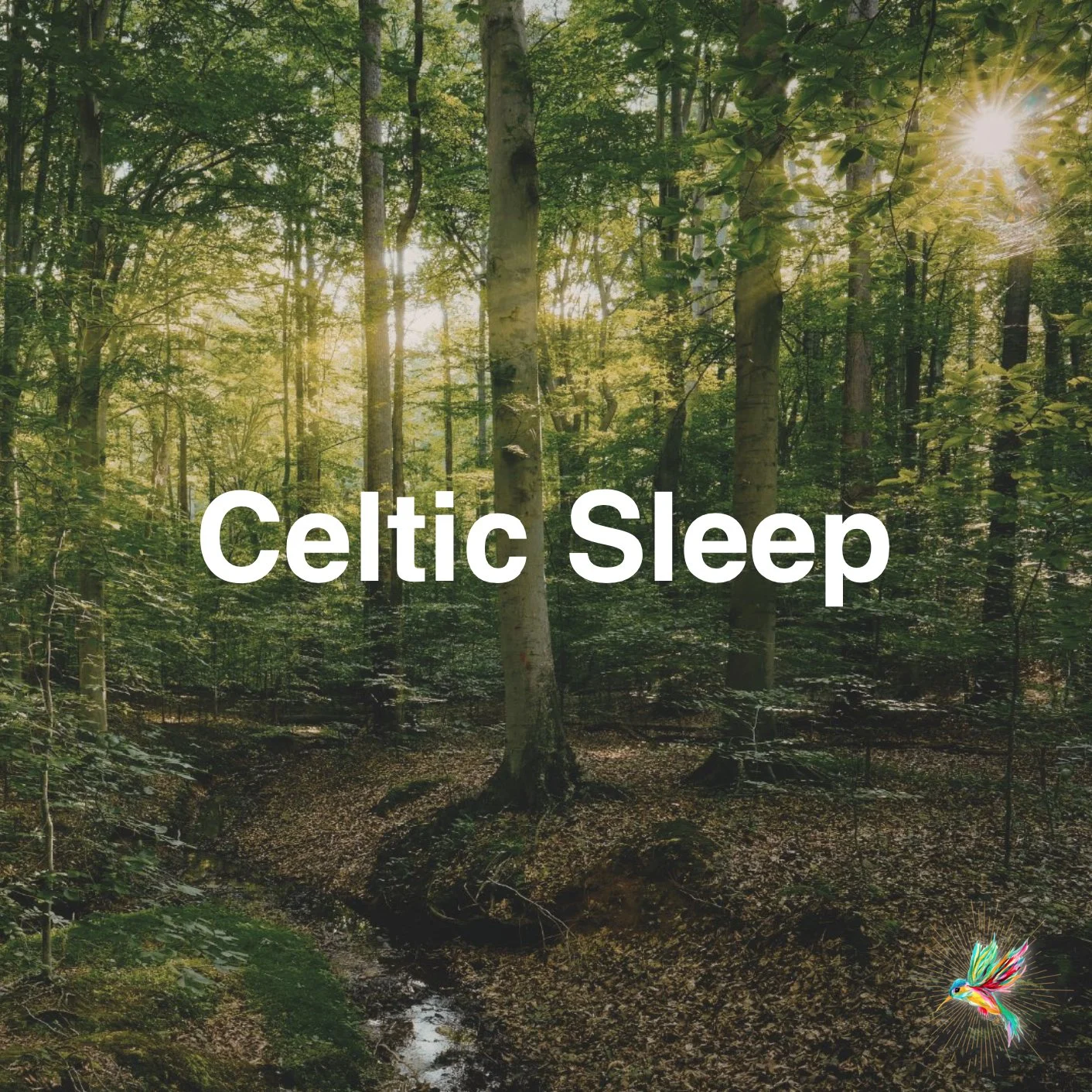 celtic sleep