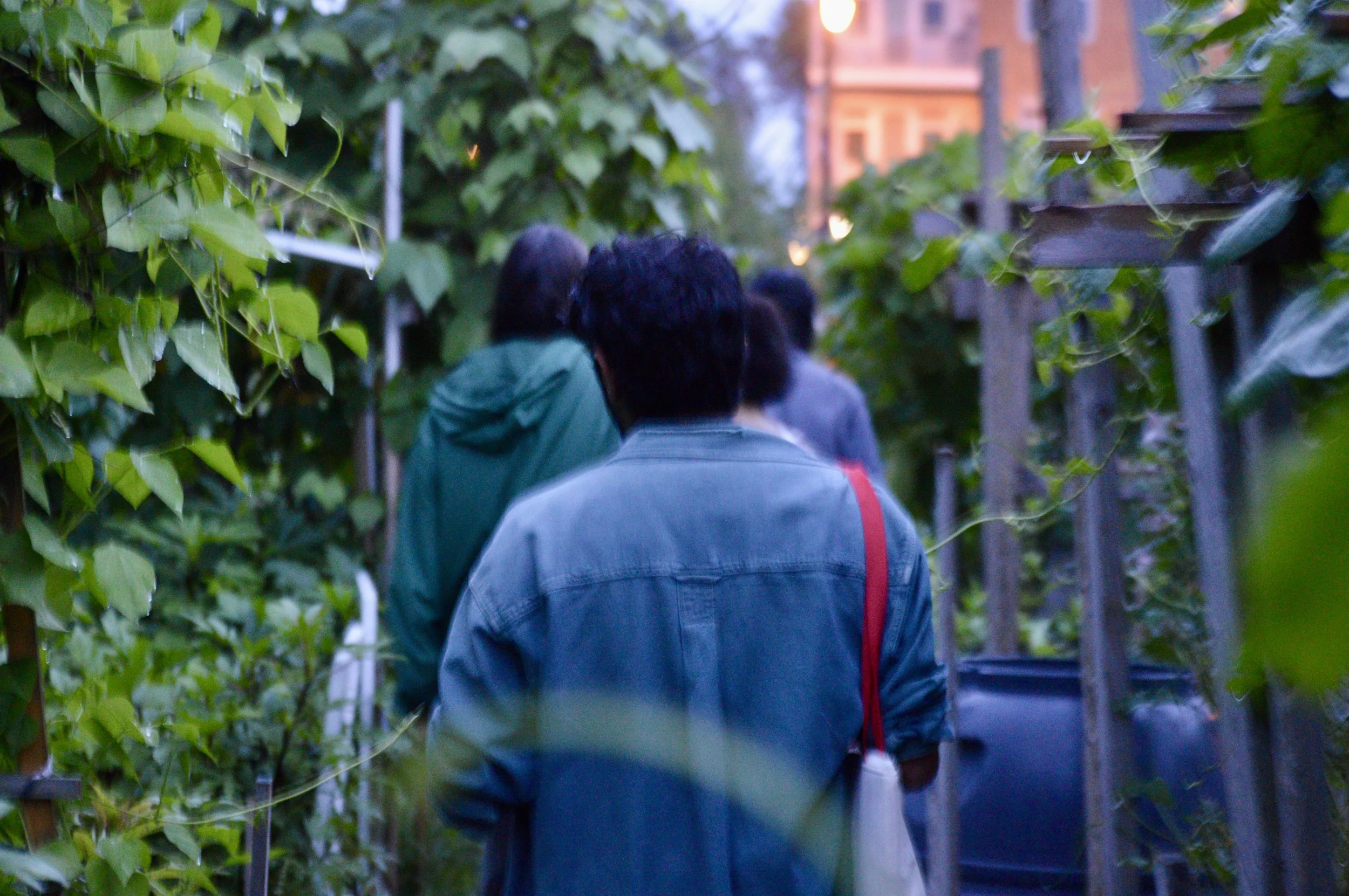 DSC_0509.jpeg