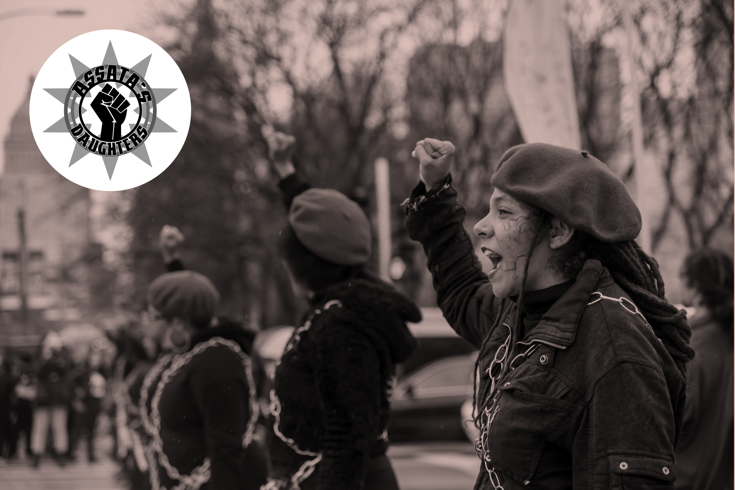 Case Study: Assata's Daughters