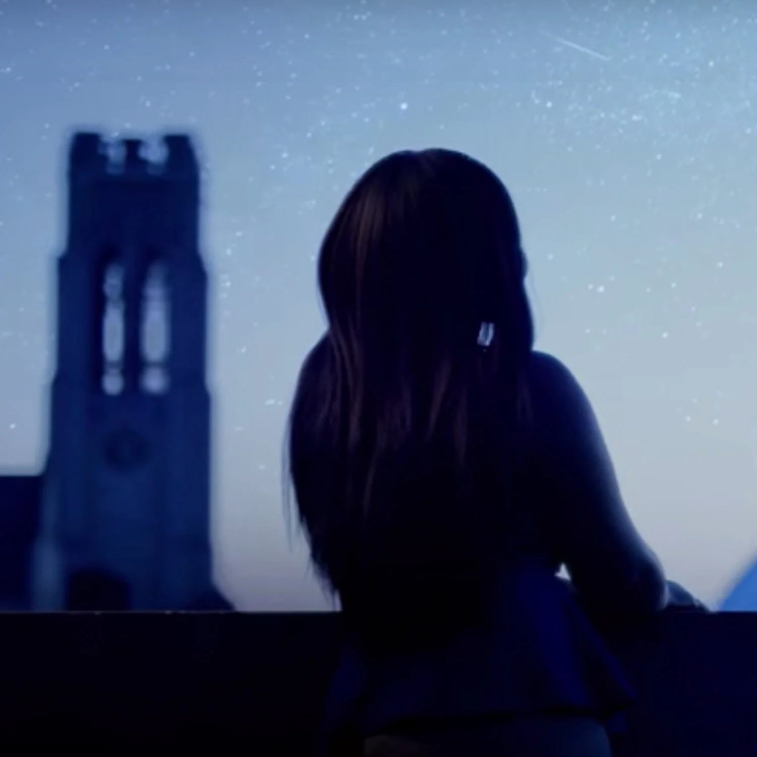 The University of Toledo Institutional Commercial