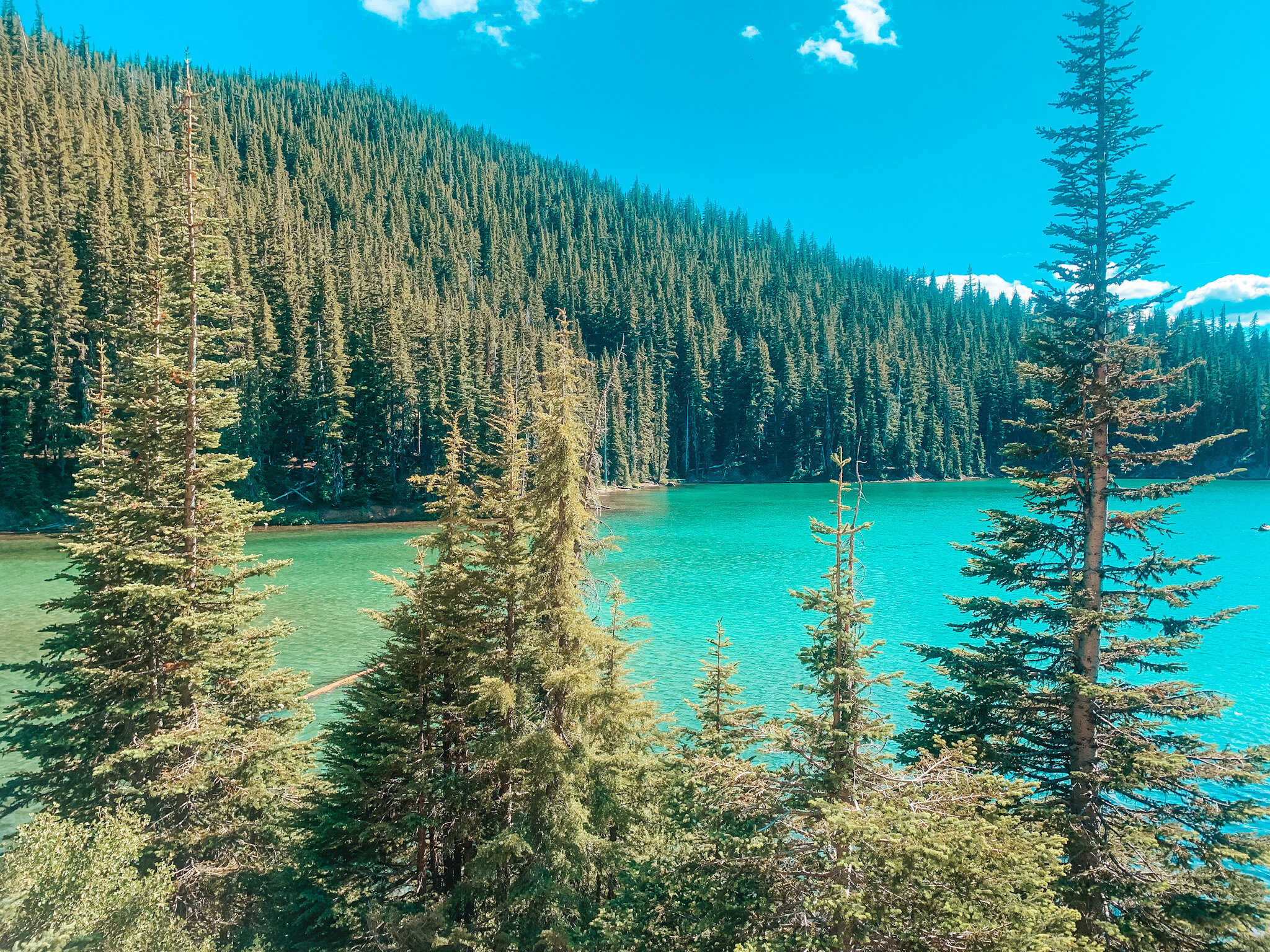 OREGON A List Of Top Epic Spots + Favorite Places To Explore When