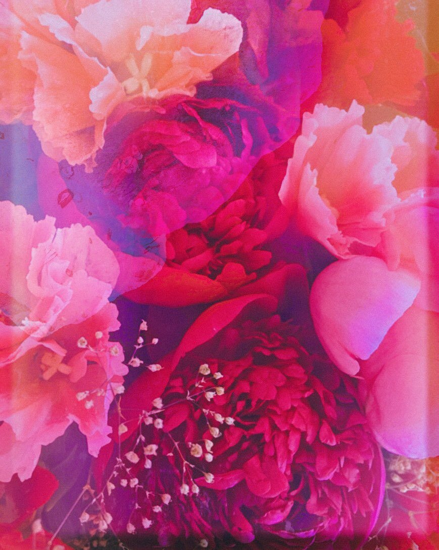 descending into flowery daydreams 🌺🌸⁣
⁣
⁣
⁣
(aka doodling + painting on old photos)⁣
#pinkaesthetic #morepink #colorlove #dreamscape #dreamyflorals #pinkfloral #pinkflowers #flowerdreams #photopainting #applepencil