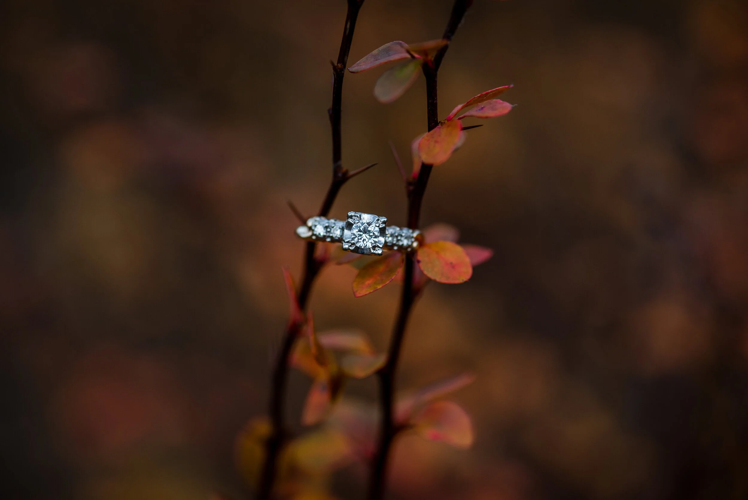 EMC Photography-128.jpg