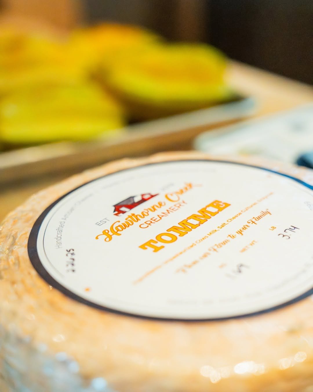 Cheese pic.jpg