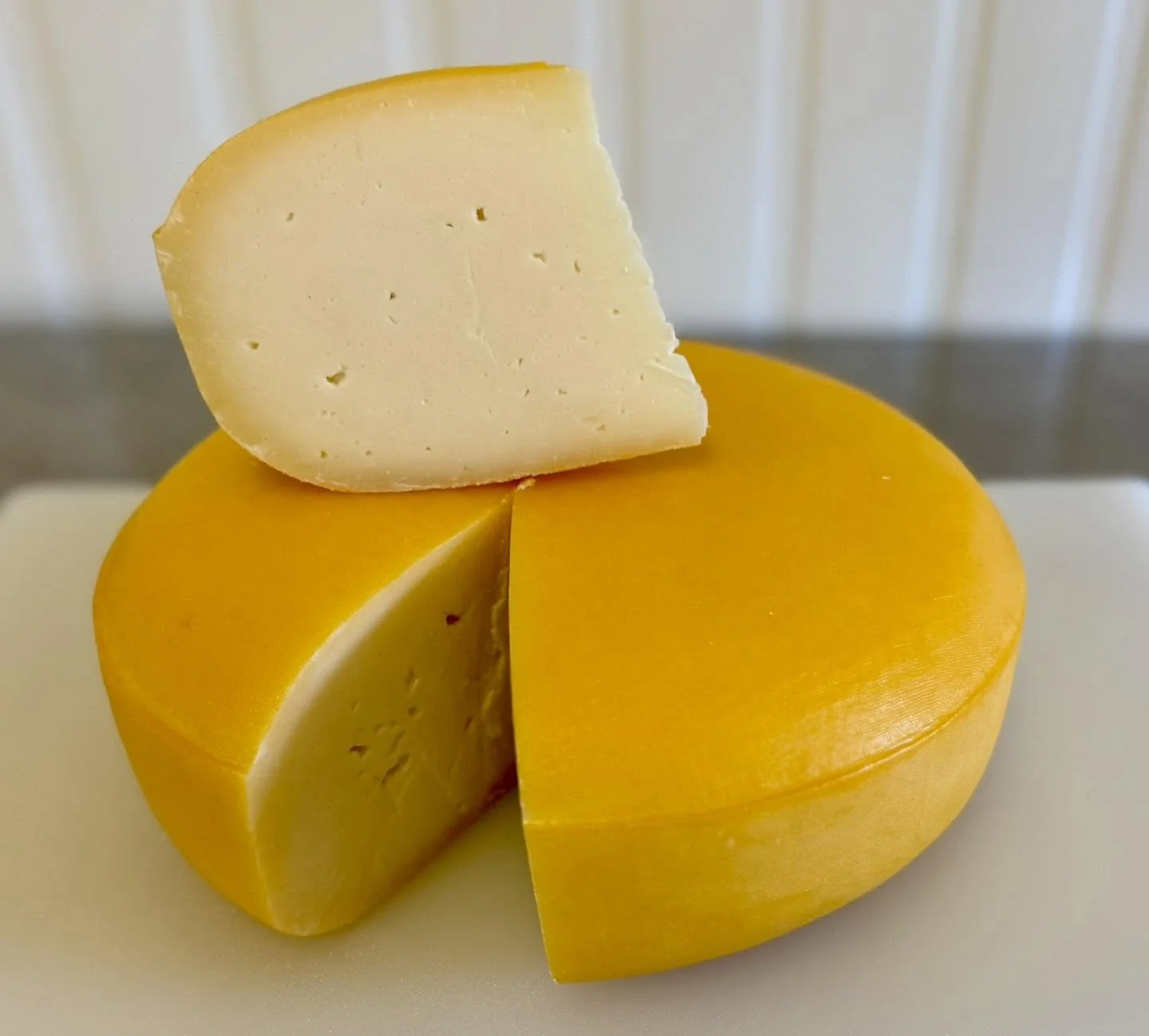 Havarti.jpg