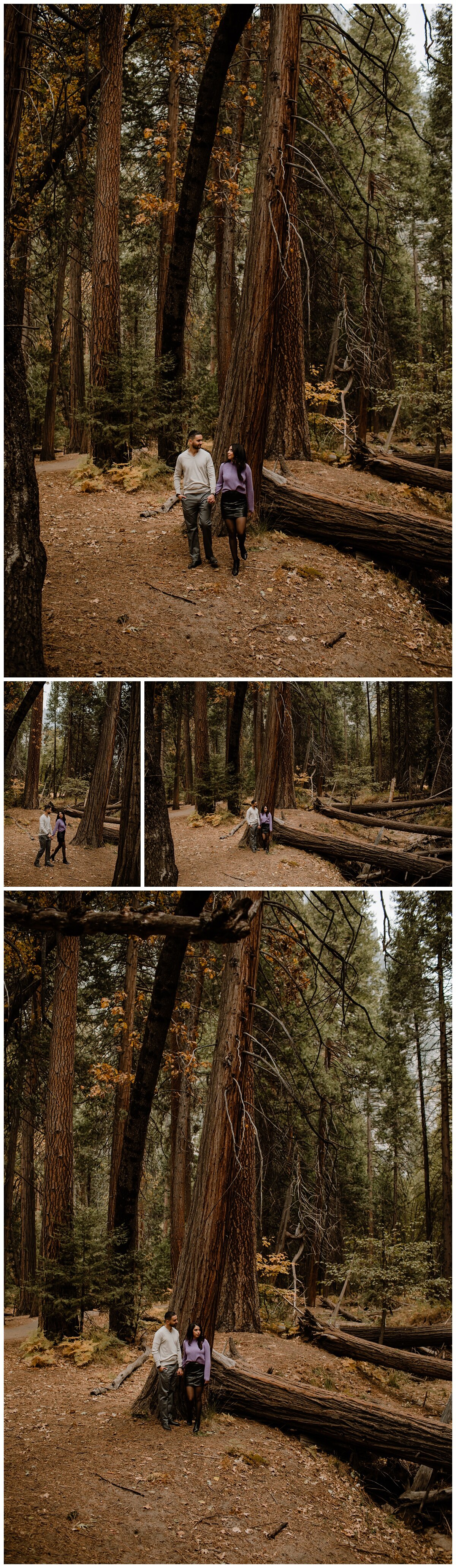 Sarah and Sergio Yosemite Engagement Session - Eve Rox Photography-158_WEB.jpg