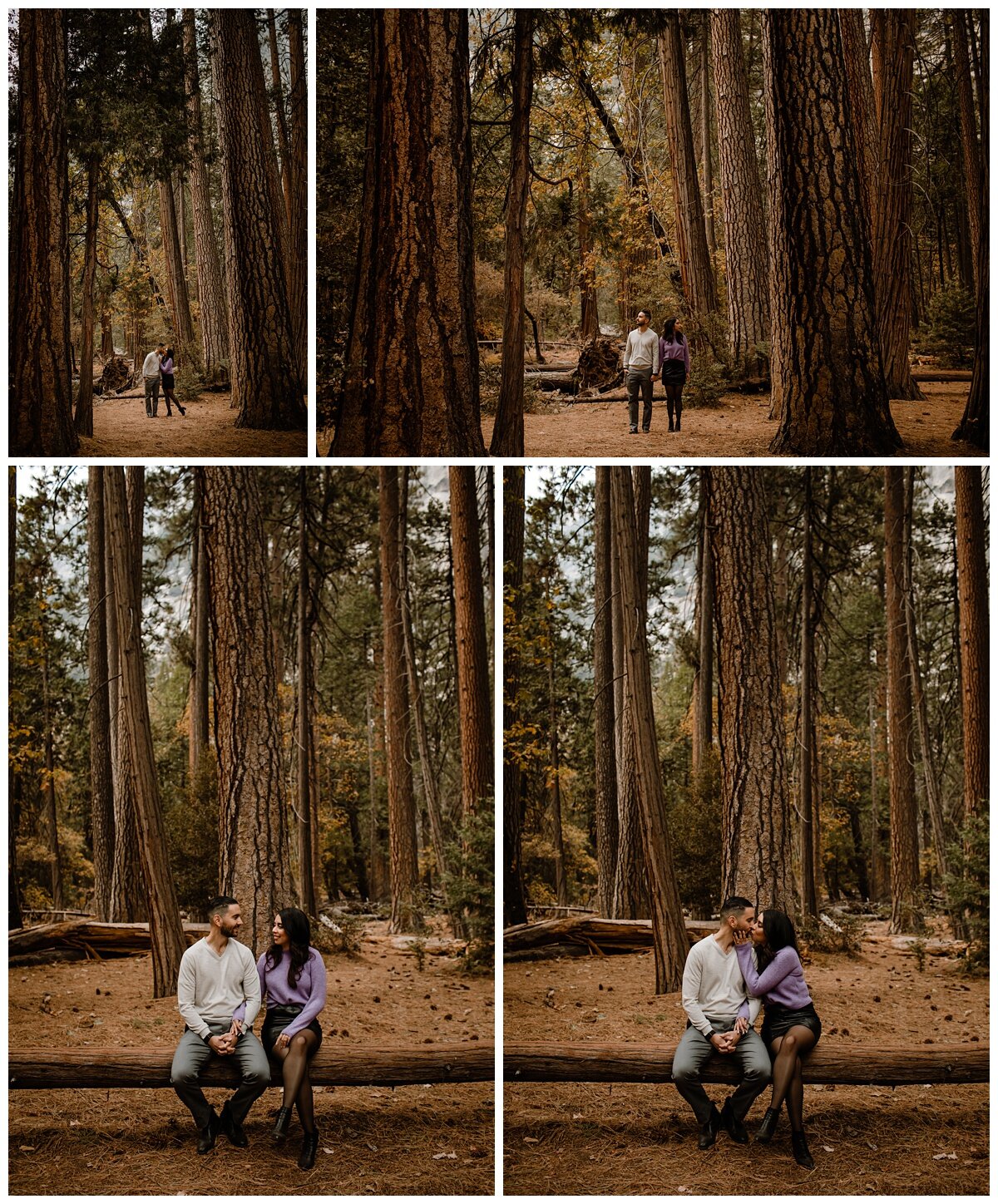 Sarah and Sergio Yosemite Engagement Session - Eve Rox Photography-206_WEB.jpg
