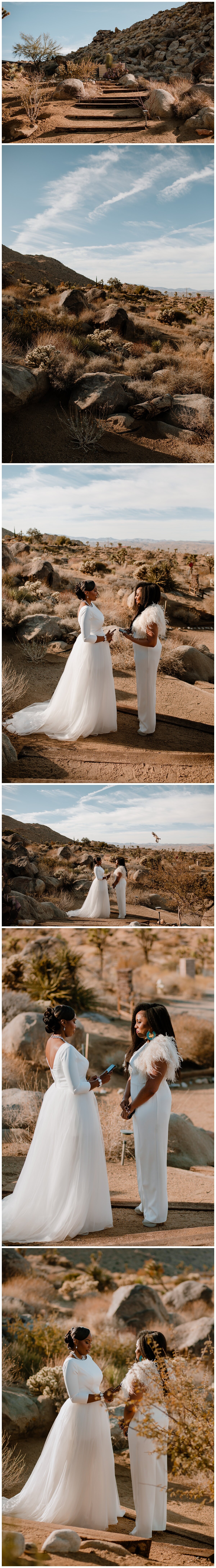 LaFawn and Sherise elopement in Joshua Tree - Eve Rox Photography-100_WEB.jpg