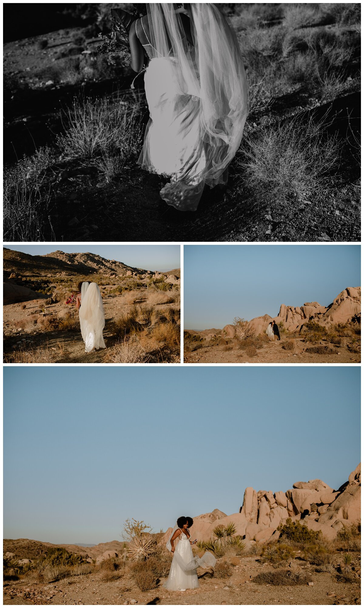 Kim and Briana Joshua Tree Elopement - Eve Rox Photography-36_WEB.jpg