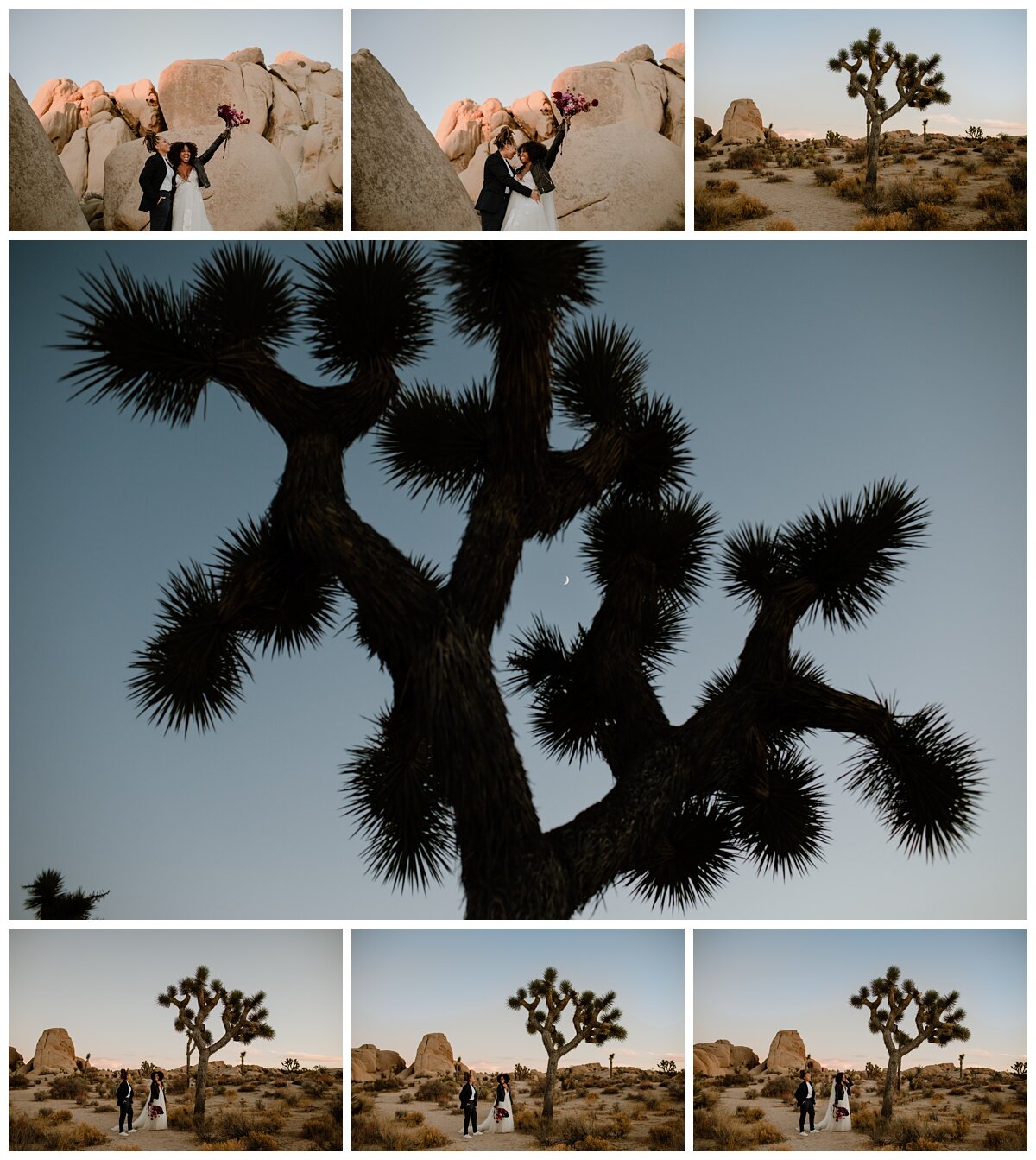 Kim and Briana Joshua Tree Elopement - Eve Rox Photography-157_WEB.jpg