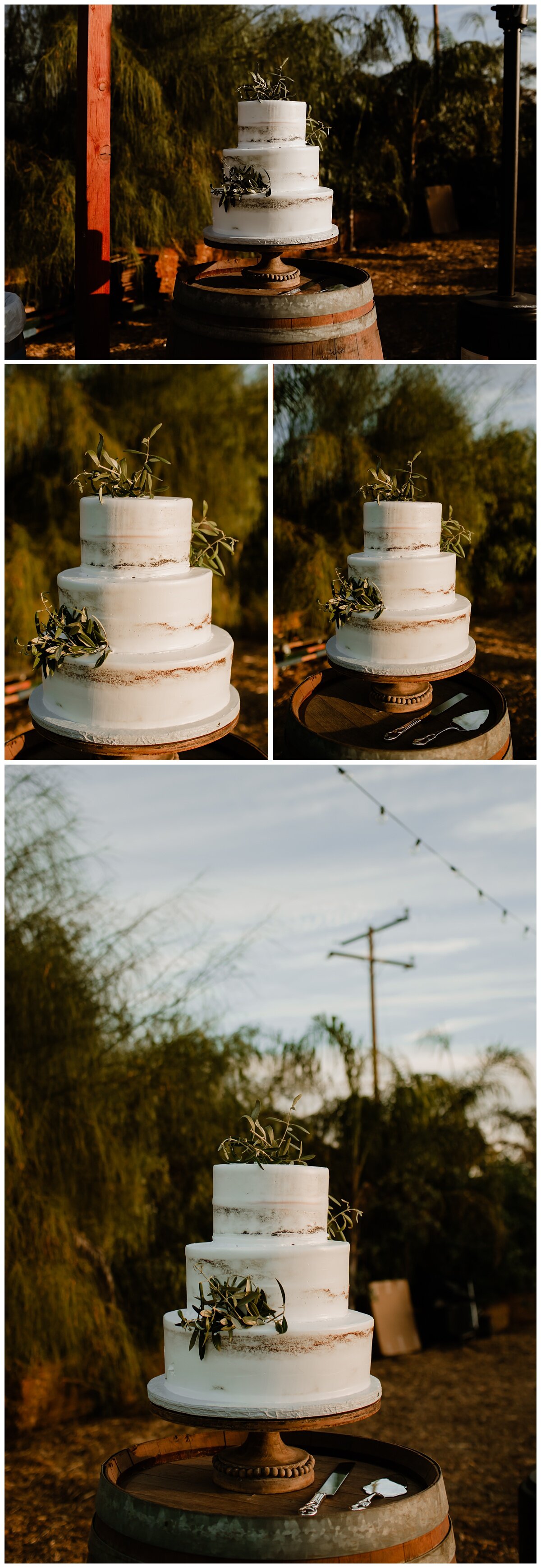 Erika and Tony - Lake Perris, CA Rustic Wedding - Eve Rox Photography-492_WEB.jpg