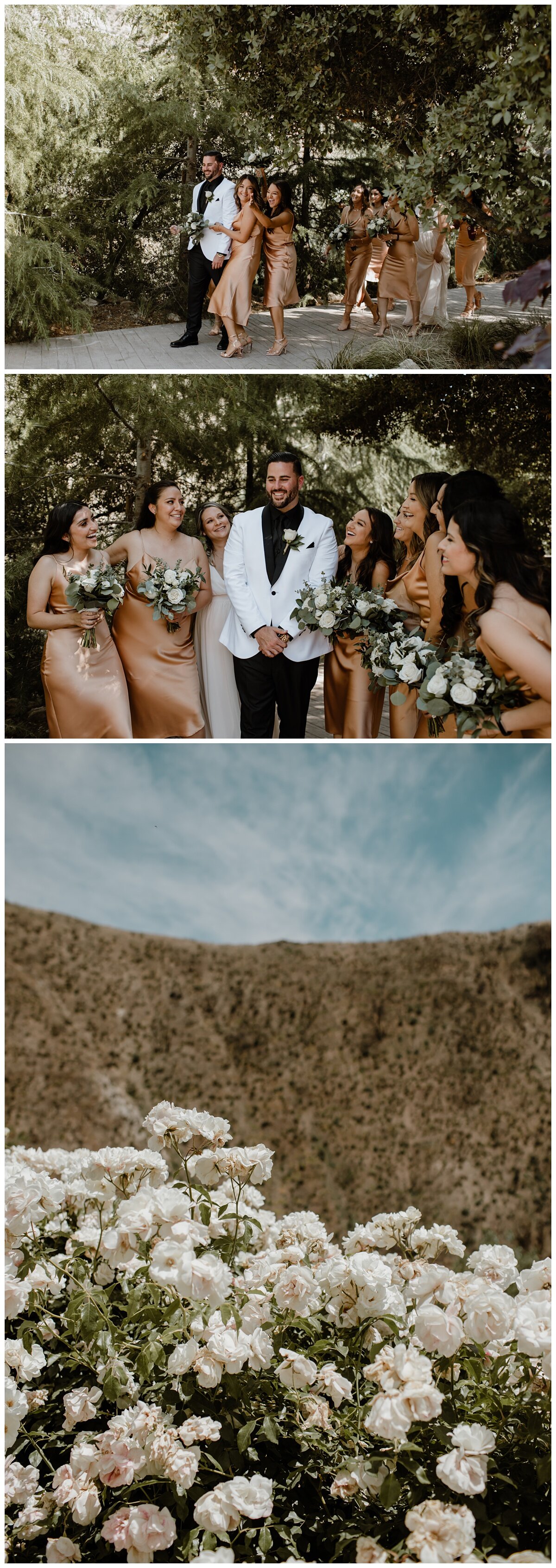 Serendipity Garden Weddings - Oak Glen, CA - Eve Rox Photography-61_WEB.jpg