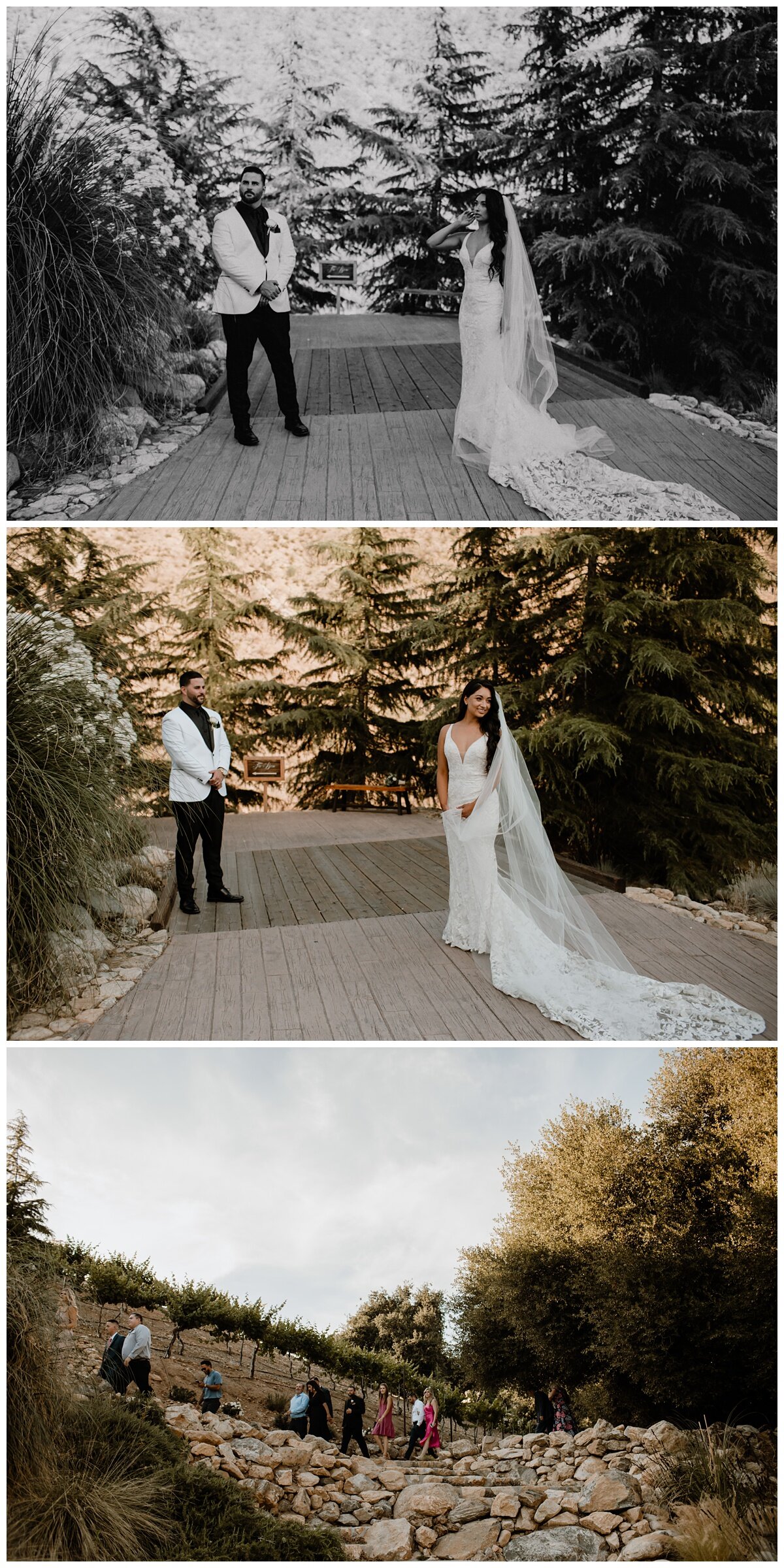 Serendipity Garden Weddings - Oak Glen, CA - Eve Rox Photography-135_WEB.jpg